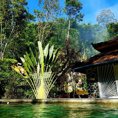 Mi Casa - The Gem Of Ijen Hotel Banyuwangi  Ngoại thất bức ảnh