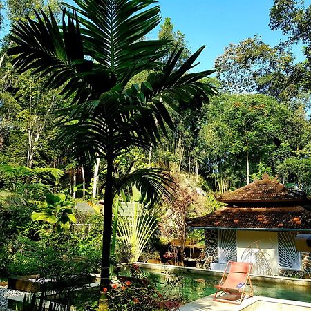 Mi Casa - The Gem Of Ijen Hotel Banyuwangi  Ngoại thất bức ảnh