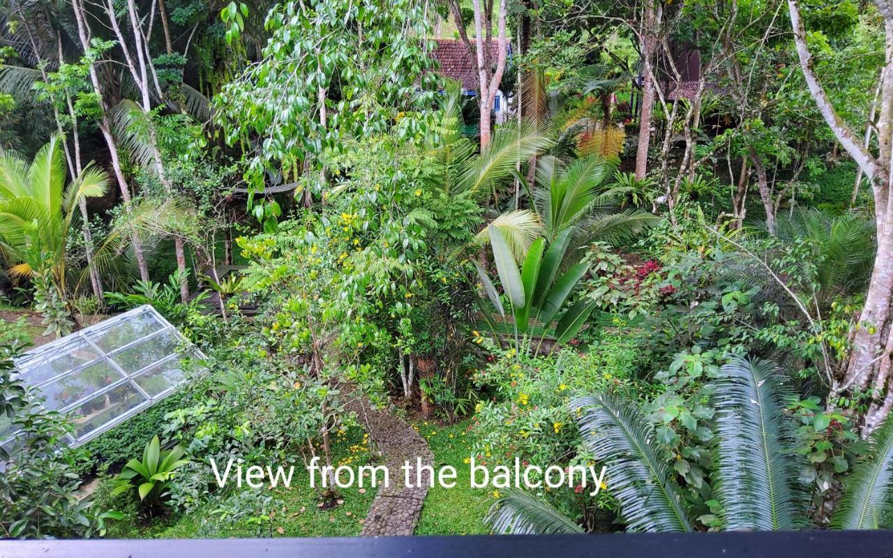 Mi Casa - The Gem Of Ijen Hotel Banyuwangi  Ngoại thất bức ảnh