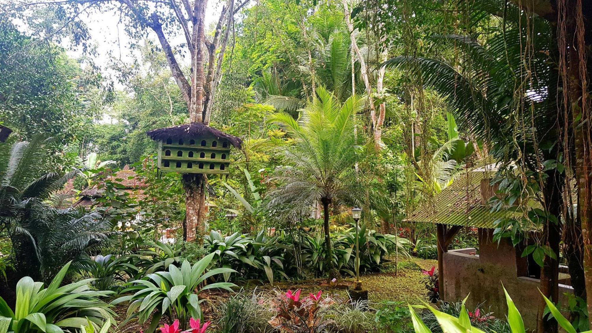 Mi Casa - The Gem Of Ijen Hotel Banyuwangi  Ngoại thất bức ảnh