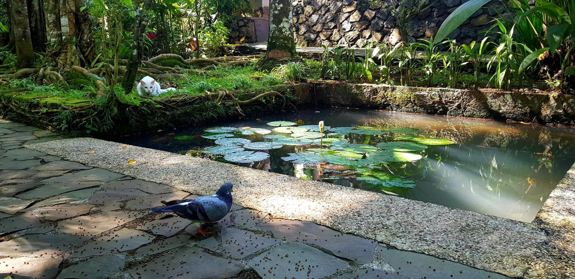 Mi Casa - The Gem Of Ijen Hotel Banyuwangi  Ngoại thất bức ảnh