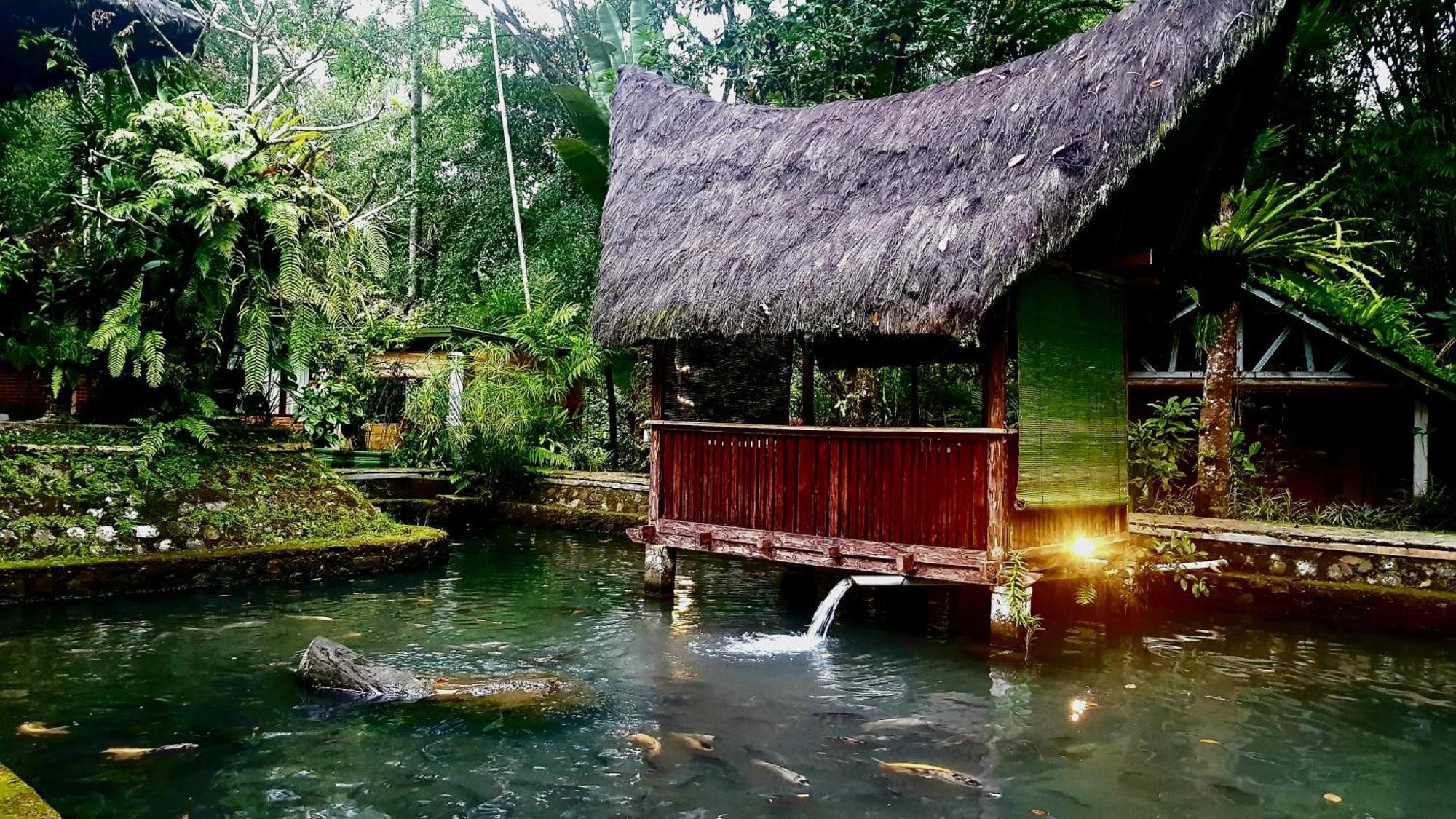 Mi Casa - The Gem Of Ijen Hotel Banyuwangi  Ngoại thất bức ảnh
