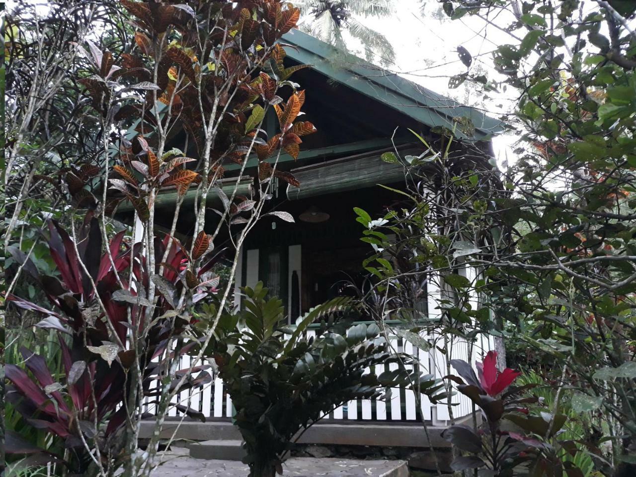 Mi Casa - The Gem Of Ijen Hotel Banyuwangi  Ngoại thất bức ảnh